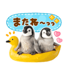 かわいい♡ペンギン（個別スタンプ：32）