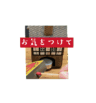 日々使いスタンプ（個別スタンプ：13）