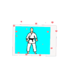 KARATE  KATA SANDAN（個別スタンプ：3）