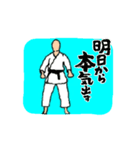 KARATE  KATA SANDAN（個別スタンプ：14）