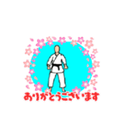 KARATE  KATA SANDAN（個別スタンプ：16）