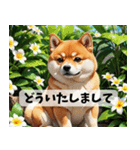 お花畑とまん丸しば犬の敬語スタンプ（個別スタンプ：9）