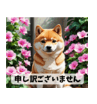 お花畑とまん丸しば犬の敬語スタンプ（個別スタンプ：24）