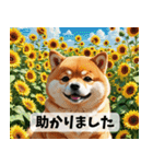 お花畑とまん丸しば犬の敬語スタンプ（個別スタンプ：33）