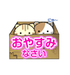 【動く・敬語入り】 ねこのにゃん（個別スタンプ：24）