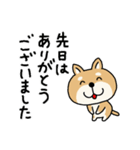 柴犬 ビジネススタンプ（個別スタンプ：4）