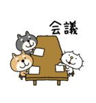 柴犬 ビジネススタンプ（個別スタンプ：7）