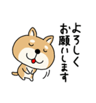 柴犬 ビジネススタンプ（個別スタンプ：9）