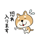 柴犬 ビジネススタンプ（個別スタンプ：12）