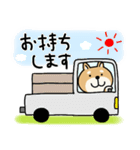 柴犬 ビジネススタンプ（個別スタンプ：13）