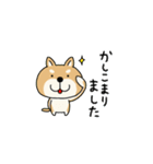 柴犬 ビジネススタンプ（個別スタンプ：19）