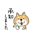 柴犬 ビジネススタンプ（個別スタンプ：20）