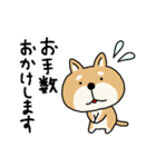 柴犬 ビジネススタンプ（個別スタンプ：27）