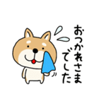 柴犬 ビジネススタンプ（個別スタンプ：30）