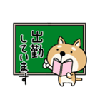 柴犬 ビジネススタンプ（個別スタンプ：35）