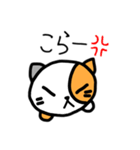 ねこまるNo.1（個別スタンプ：11）