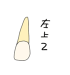 歯で会話（個別スタンプ：4）