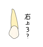 歯で会話（個別スタンプ：5）