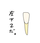 歯で会話（個別スタンプ：18）