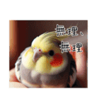 煽りまくるオカメインコ3（個別スタンプ：16）