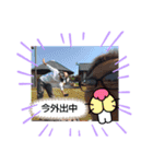 ヨネの日常スタンプ卍（個別スタンプ：21）