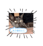 ヨネの日常スタンプ卍（個別スタンプ：28）