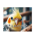 煽りまくるオカメインコ（個別スタンプ：3）