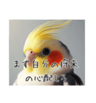 煽りまくるオカメインコ（個別スタンプ：13）