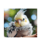 煽りまくるオカメインコ（個別スタンプ：14）