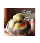 煽りまくるオカメインコ（個別スタンプ：21）