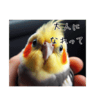 煽りまくるオカメインコ2（個別スタンプ：4）