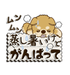 柴犬・茶色い犬 『雨の日』梅雨（個別スタンプ：3）