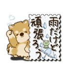 柴犬・茶色い犬 『雨の日』梅雨（個別スタンプ：4）