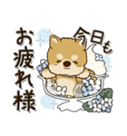 柴犬・茶色い犬 『雨の日』梅雨（個別スタンプ：9）