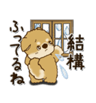 柴犬・茶色い犬 『雨の日』梅雨（個別スタンプ：15）