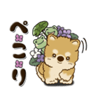 柴犬・茶色い犬 『雨の日』梅雨（個別スタンプ：18）
