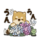 柴犬・茶色い犬 『雨の日』梅雨（個別スタンプ：25）