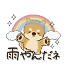 柴犬・茶色い犬 『雨の日』梅雨（個別スタンプ：29）