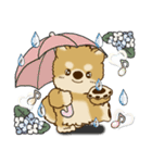 柴犬・茶色い犬 『雨の日』梅雨（個別スタンプ：36）