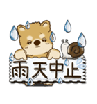 柴犬・茶色い犬 『雨の日』梅雨（個別スタンプ：38）