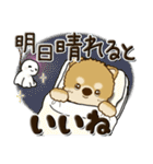 柴犬・茶色い犬 『雨の日』梅雨（個別スタンプ：39）