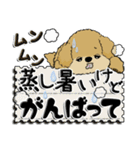 シーズー犬 『雨の日』梅雨（個別スタンプ：3）