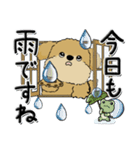 シーズー犬 『雨の日』梅雨（個別スタンプ：8）