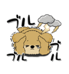 シーズー犬 『雨の日』梅雨（個別スタンプ：19）