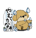 シーズー犬 『雨の日』梅雨（個別スタンプ：23）