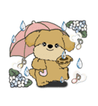 シーズー犬 『雨の日』梅雨（個別スタンプ：36）