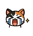 ミケネコくん（個別スタンプ：1）
