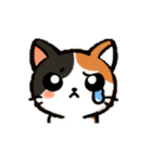 ミケネコくん（個別スタンプ：6）
