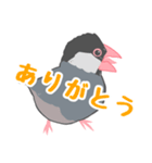 文鳥「九叶」のもふもふ日記（個別スタンプ：4）