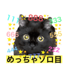 黒猫 ルナ院長143にゃんめ（個別スタンプ：5）